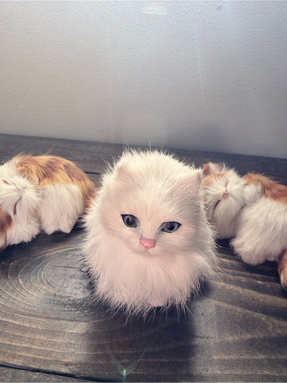 Vintage fur cats… set of 3